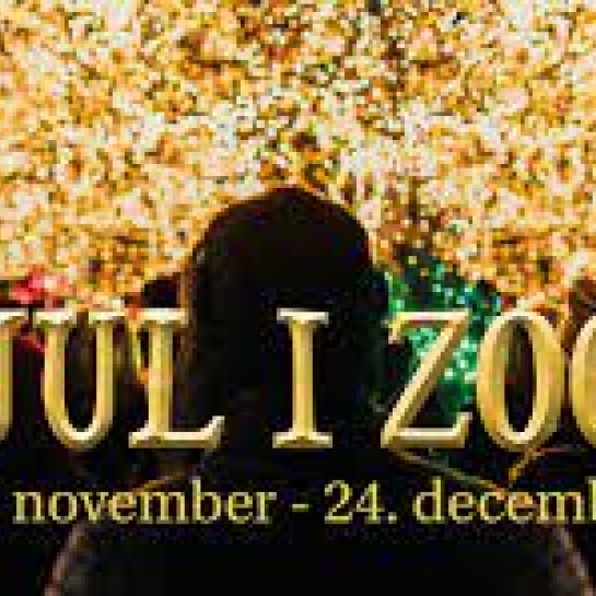 Jul i Odense Zoo