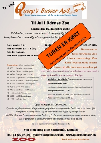 Programmet for juleturen til Odense, dec. 2023